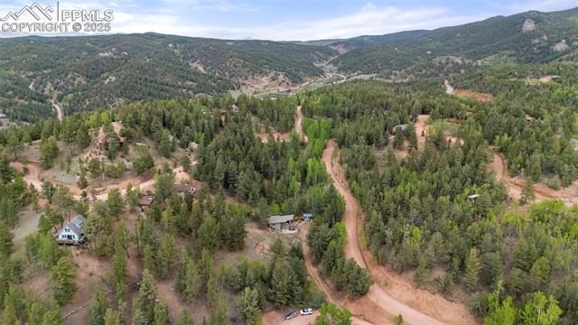 MLS Image for 529  Grosbeak  ,Divide, Colorado