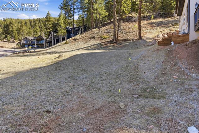 MLS Image for 1015  Locklin  ,Woodland Park, Colorado