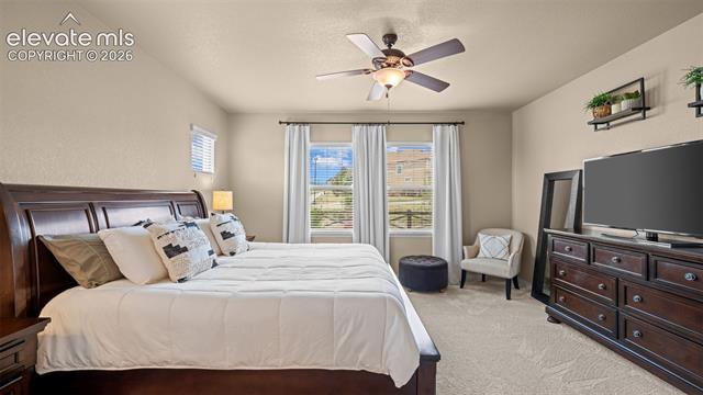 MLS Image for 6591  Myrtle Creek  ,Colorado Springs, Colorado