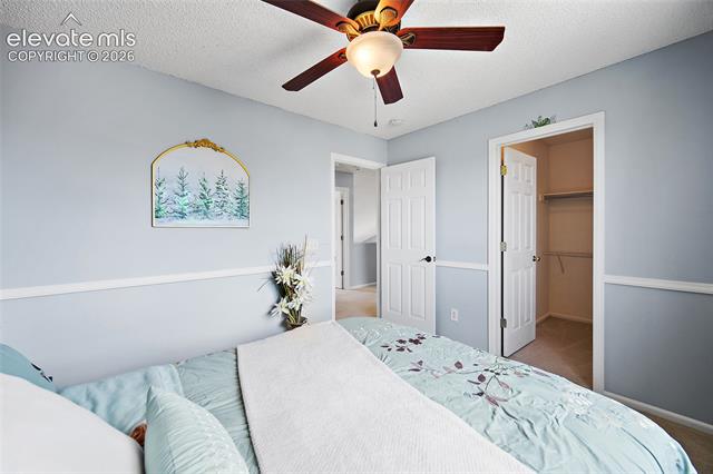 MLS Image for 7254  Westerner  ,Colorado Springs, Colorado