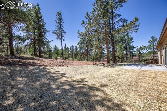 MLS Image for 214  Turnabout  ,Florissant, Colorado