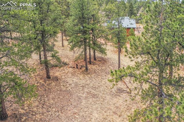 MLS Image for 214  Turnabout  ,Florissant, Colorado