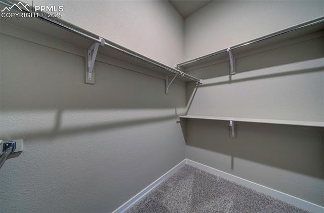 MLS Image for 11675  Copper Butte  ,Colorado Springs, Colorado