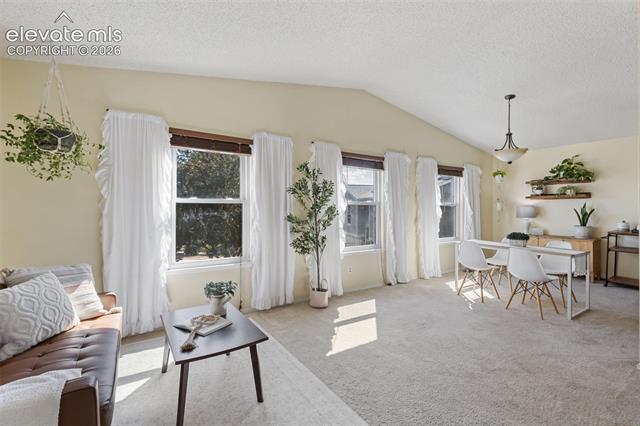 MLS Image for 4990  Wood Brook  ,Colorado Springs, Colorado