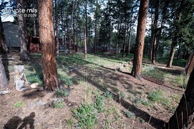 MLS Image for 604  Whispering Winds  ,Woodland Park, Colorado