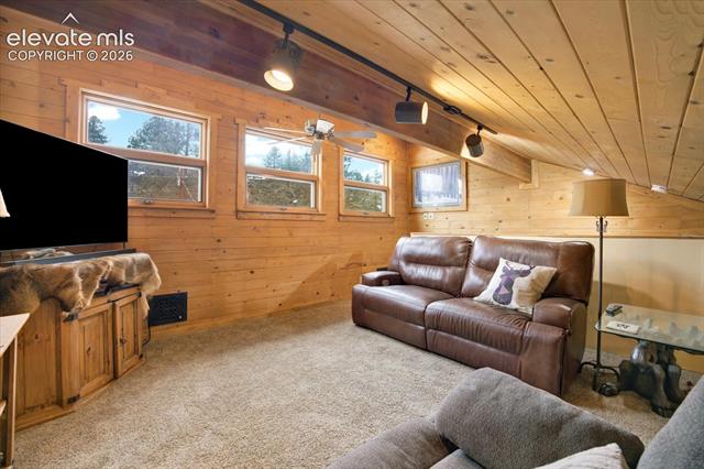 MLS Image for 715 W Bison Creek  ,Florissant, Colorado