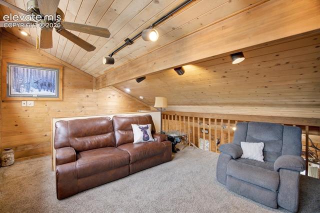 MLS Image for 715 W Bison Creek  ,Florissant, Colorado
