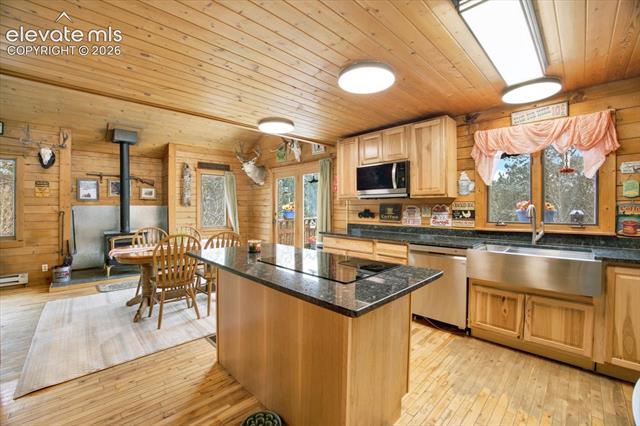 MLS Image for 715 W Bison Creek  ,Florissant, Colorado