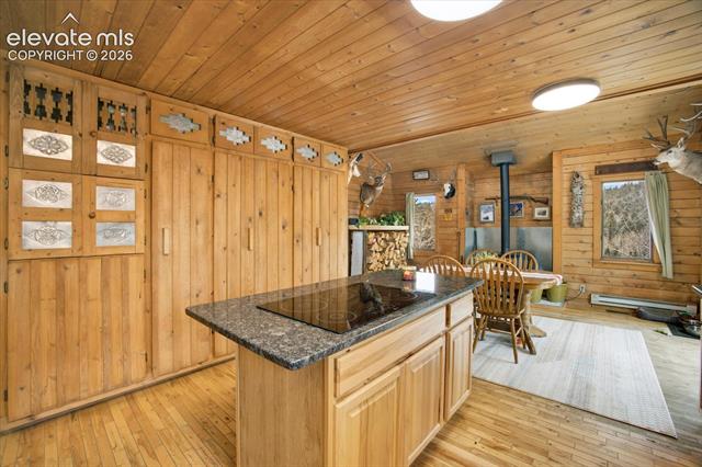 MLS Image for 715 W Bison Creek  ,Florissant, Colorado