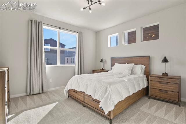 MLS Image for 11314  Modern Meadow  ,Colorado Springs, Colorado