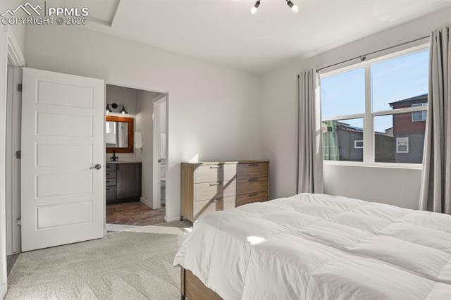 MLS Image for 11314  Modern Meadow  ,Colorado Springs, Colorado