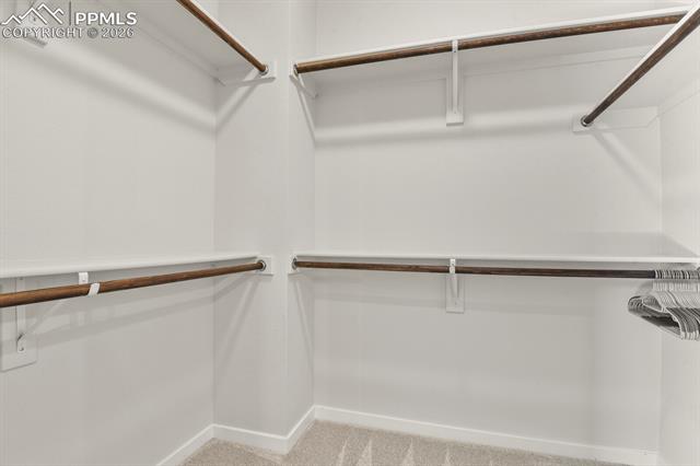 MLS Image for 11314  Modern Meadow  ,Colorado Springs, Colorado