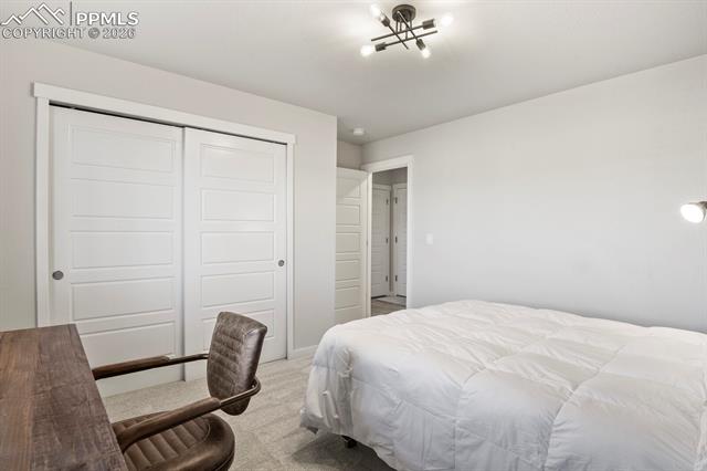 MLS Image for 11314  Modern Meadow  ,Colorado Springs, Colorado