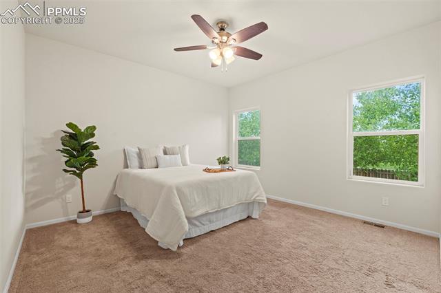MLS Image for 10067  Seawolf  ,Colorado Springs, Colorado