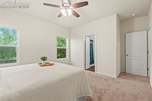 MLS Image for 10067  Seawolf  ,Colorado Springs, Colorado