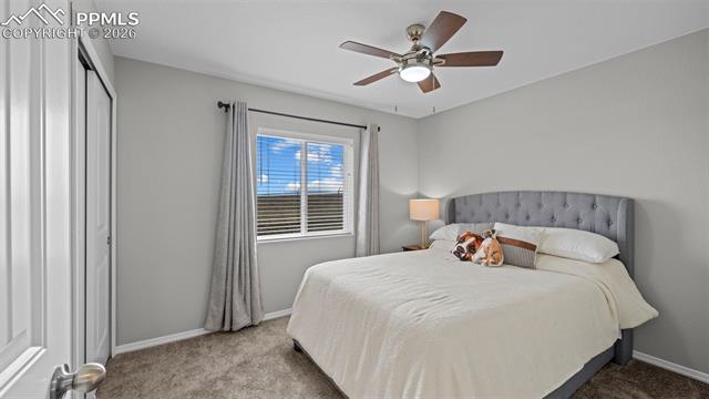 MLS Image for 3786  Vineyard  ,Colorado Springs, Colorado