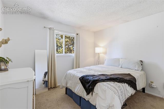 MLS Image for 4002  Shelley  ,Colorado Springs, Colorado