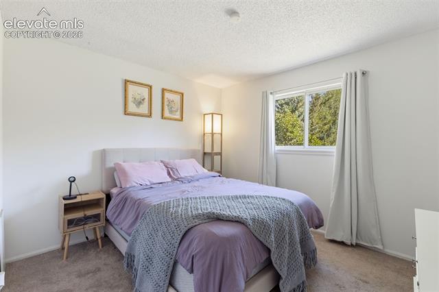 MLS Image for 4002  Shelley  ,Colorado Springs, Colorado