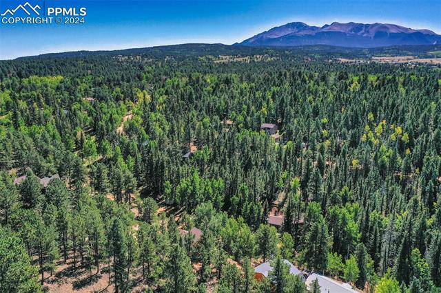 MLS Image for 181  Valley  ,Woodland Park, Colorado