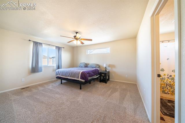 MLS Image for 6276  Dancing Star  ,Colorado Springs, Colorado