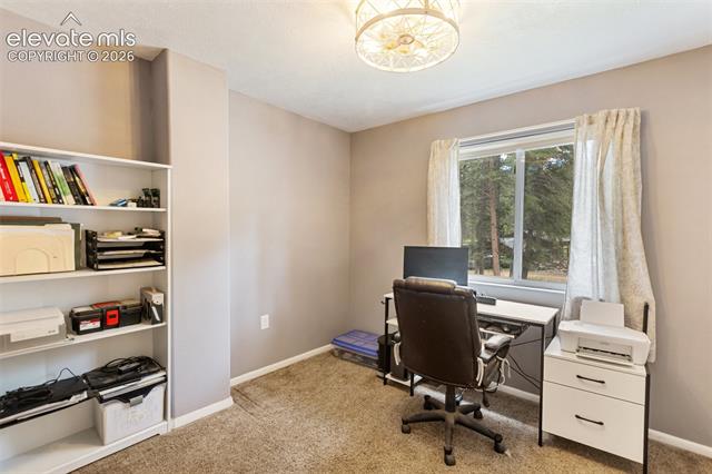 MLS Image for 10  Ollie  ,Woodland Park, Colorado