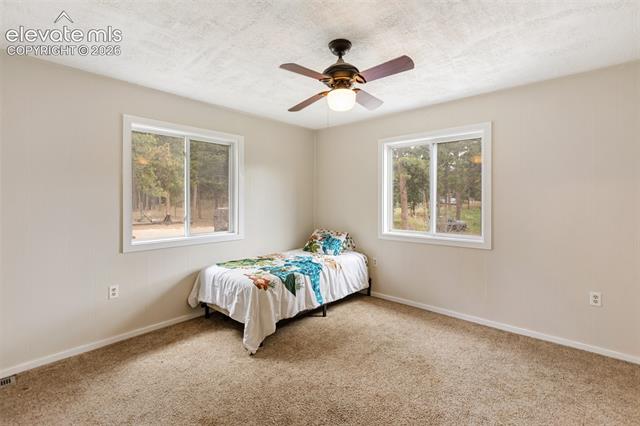 MLS Image for 10  Ollie  ,Woodland Park, Colorado