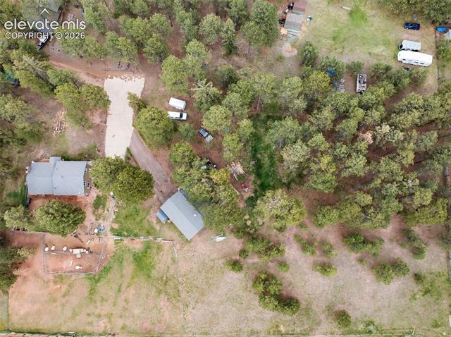 MLS Image for 10  Ollie  ,Woodland Park, Colorado