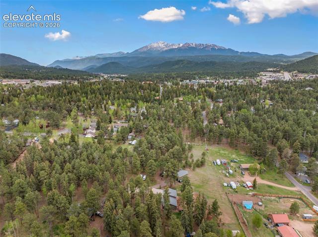 MLS Image for 10  Ollie  ,Woodland Park, Colorado