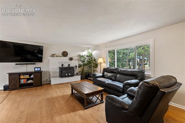 MLS Image for 10  Ollie  ,Woodland Park, Colorado