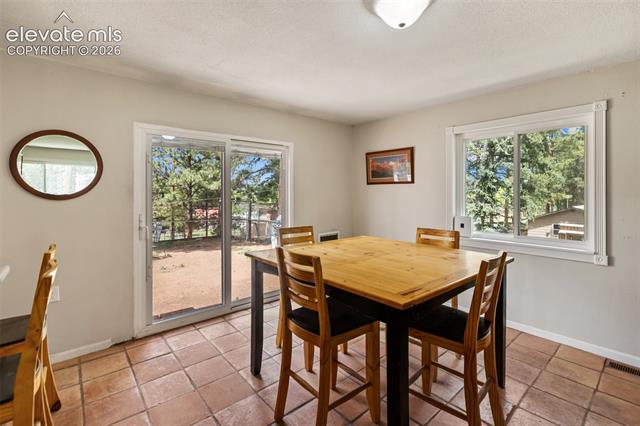 MLS Image for 10  Ollie  ,Woodland Park, Colorado