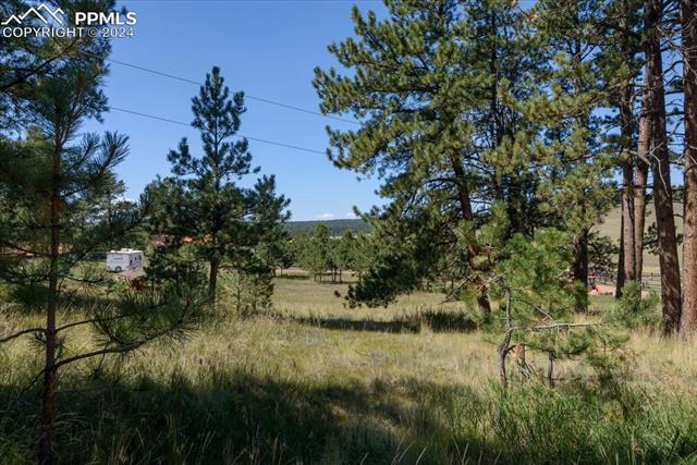 MLS Image for 54  Arrowhead  ,Florissant, Colorado