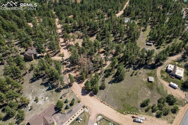 MLS Image for 54  Arrowhead  ,Florissant, Colorado