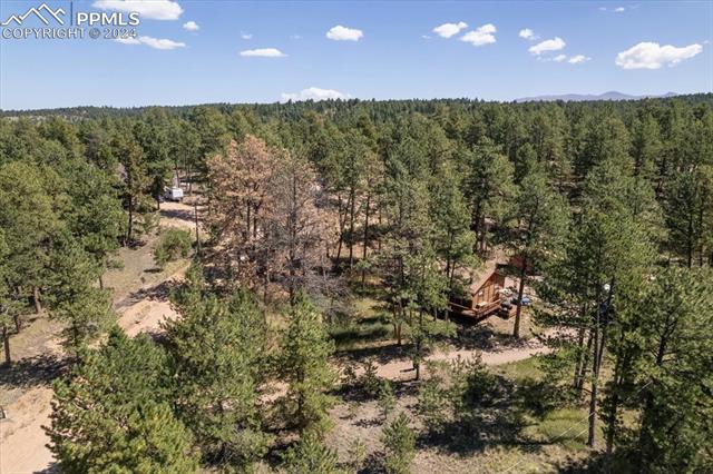 MLS Image for 54  Arrowhead  ,Florissant, Colorado