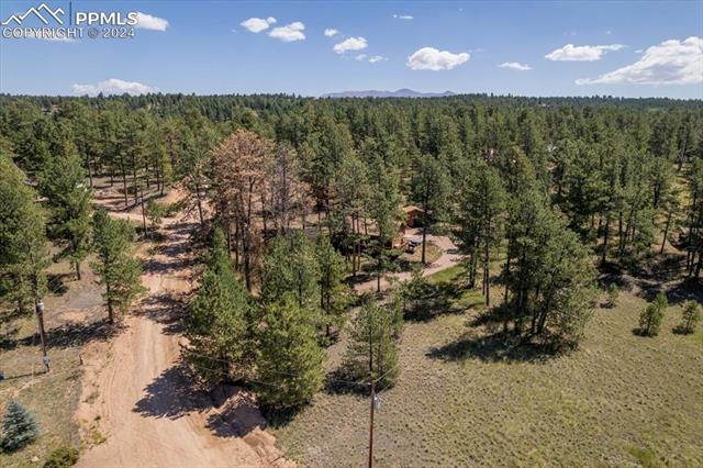 MLS Image for 54  Arrowhead  ,Florissant, Colorado