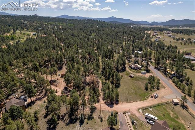 MLS Image for 54  Arrowhead  ,Florissant, Colorado