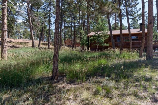 MLS Image for 54  Arrowhead  ,Florissant, Colorado