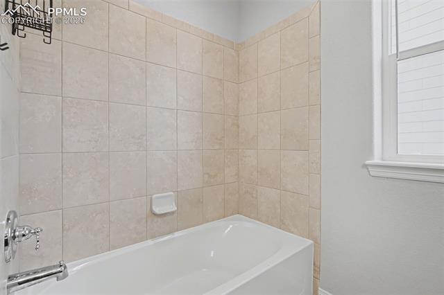 MLS Image for 9833  Wando  ,Colorado Springs, Colorado