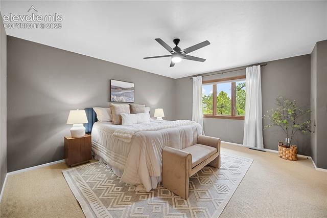 MLS Image for 220  Raven Hills  ,Colorado Springs, Colorado