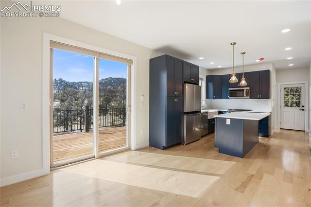 MLS Image for 142  Hackamore  ,Florissant, Colorado