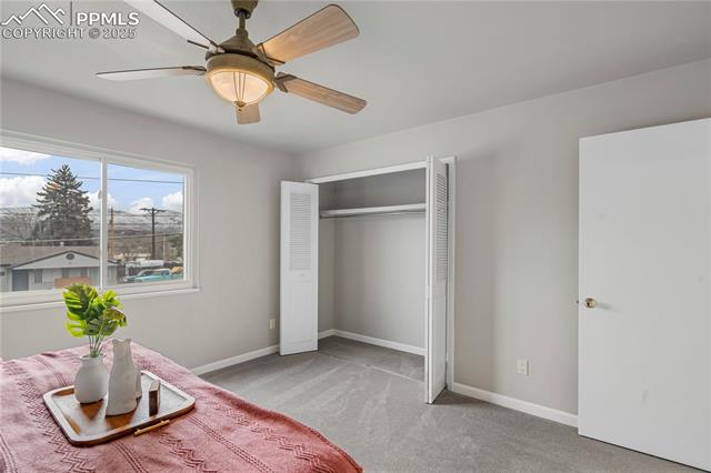 MLS Image for 4805  Mallow  ,Colorado Springs, Colorado