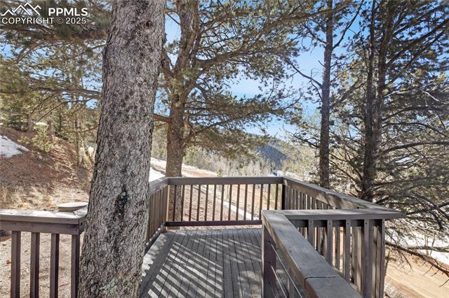 MLS Image for 150  Timber Ridge  ,Divide, Colorado