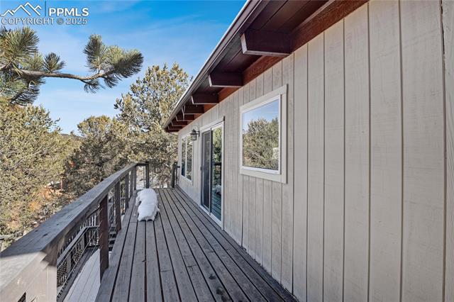 MLS Image for 150  Timber Ridge  ,Divide, Colorado