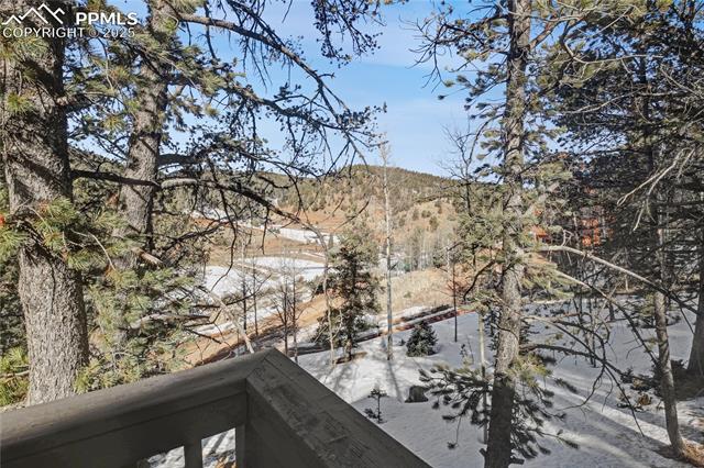 MLS Image for 150  Timber Ridge  ,Divide, Colorado