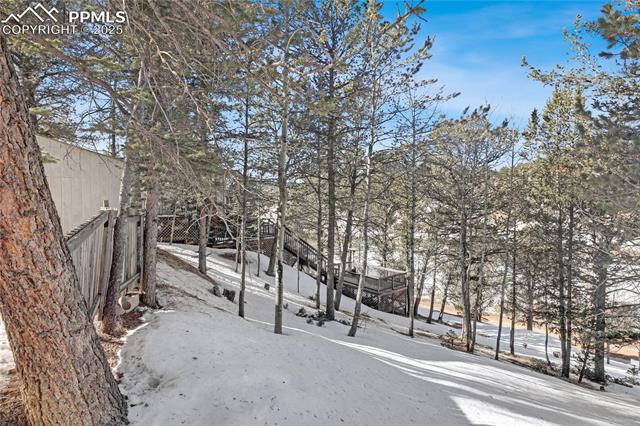 MLS Image for 150  Timber Ridge  ,Divide, Colorado