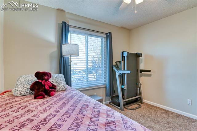 MLS Image for 623  Hugh Martin  ,Colorado Springs, Colorado