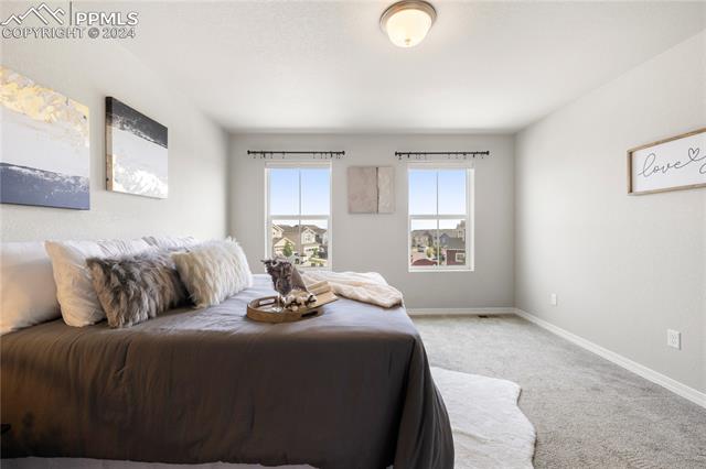 MLS Image for 8254  Talc  ,Colorado Springs, Colorado