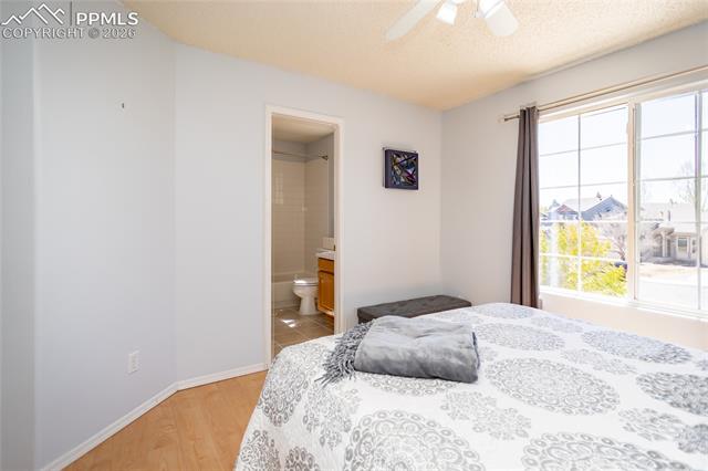 MLS Image for 8020  Cooper River  ,Colorado Springs, Colorado