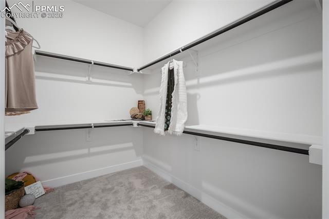 MLS Image for 8850  Frolic  ,Colorado Springs, Colorado