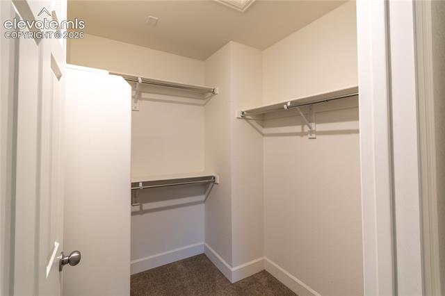 MLS Image for 7138  Sedgerock  ,Colorado Springs, Colorado