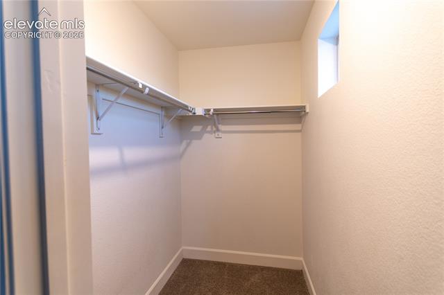MLS Image for 7138  Sedgerock  ,Colorado Springs, Colorado
